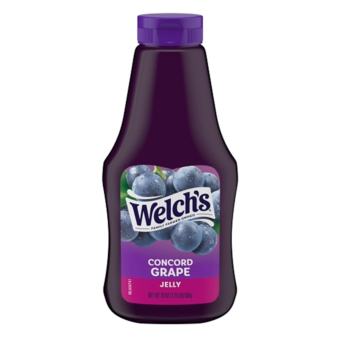 Welch s Concord Grape Squeeze Jelly, 20 Ounces, 12 Per Case