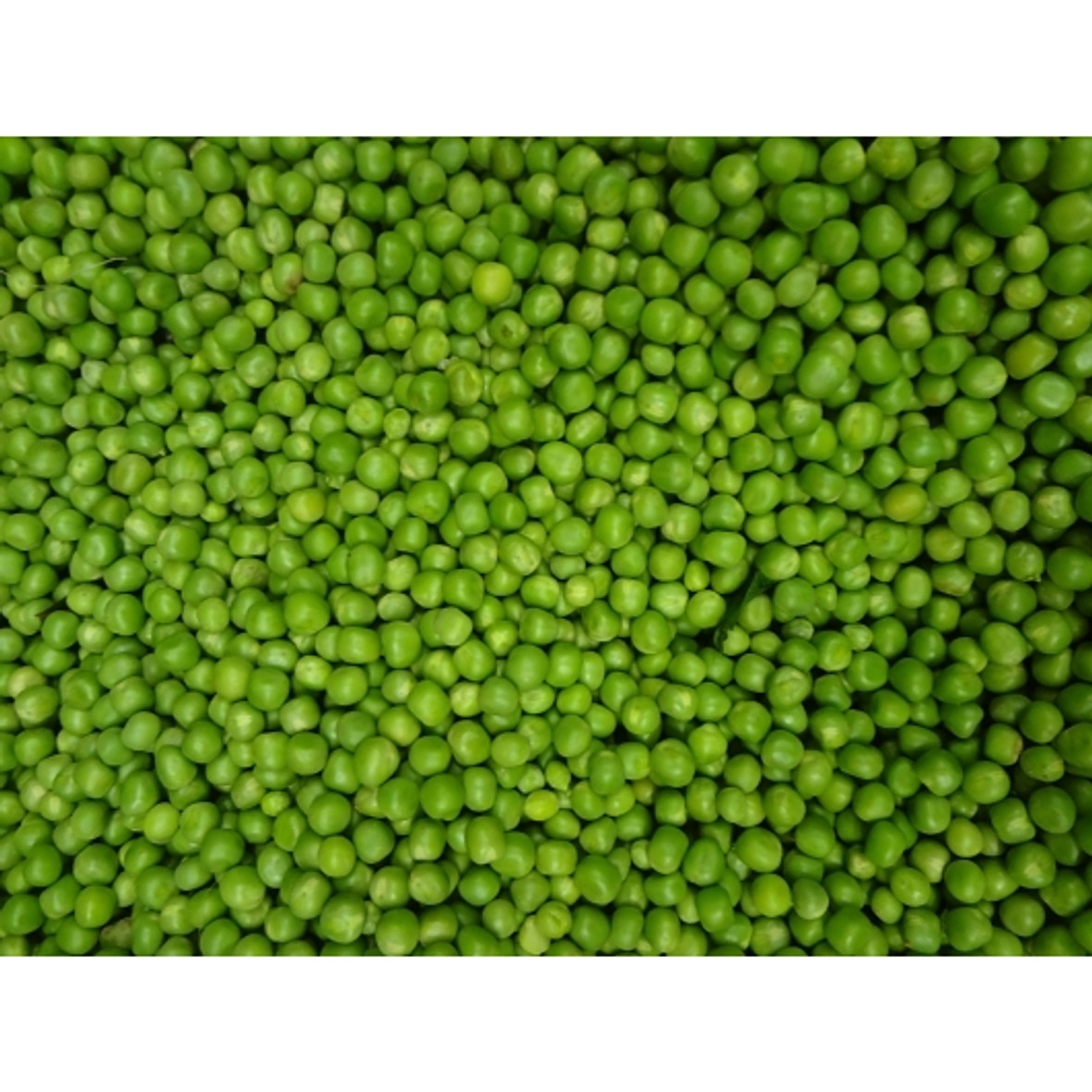 Commodity Extra Standard 4 Sieve Peas, 10 Can, 6 Per Case Commodity Extra Standard 4 Sieve Peas, 10 Can, 6 Per Case