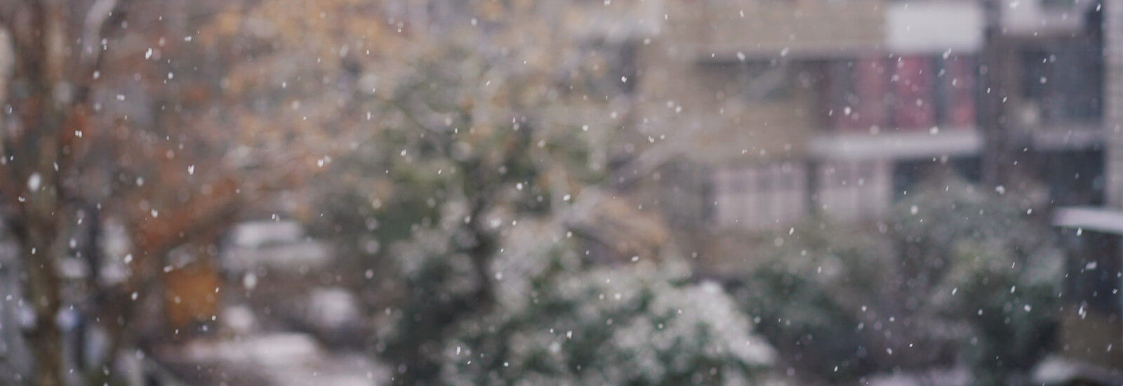 ​Let It Snow! How to beat the winter weather with Ice Melt....