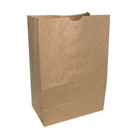 Pak 2 Go Kraft Paper Bag, 500 Count