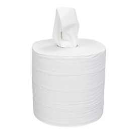 Sustainable Earth Center-Pull Paper Towel
