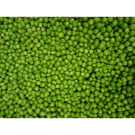 Commodity Extra Standard 4 Sieve Peas, 10 Can, 6 Per Case Commodity Extra Standard 4 Sieve Peas, 10 Can, 6 Per Case