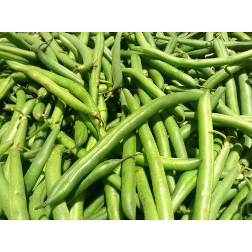 Commodity Canned Fruit and Vegetables Extra Standard 4 Sieve Green Bean, Number 10 Can,6 Per Case