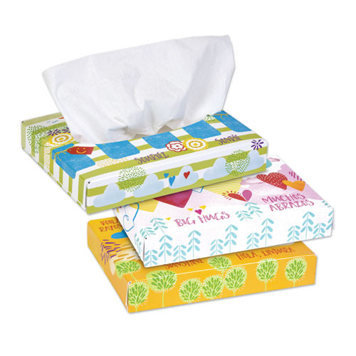 White Facial Tissue Junior Pack, 2-ply, 40 Sheets/box, 80 Boxes/carton