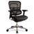 Eurotech Ergohuman Elite Mid-back Mesh Chair, Supports Up to 250 lb, 18.11" to 21.65" Seat Height, Black, 1 Each/Carton