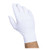 Handgards Naturalfit Powder Free Latex Free Synthetic Large Glove, 100 Per box 10 Per Case