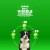 Iams Complete, 7 Pound, 4 Per Case