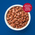 9 Lives Bites Wet Cat Food With Real Chicken & Beef In Gravy, 5.5 Ounce, 24 Per Case