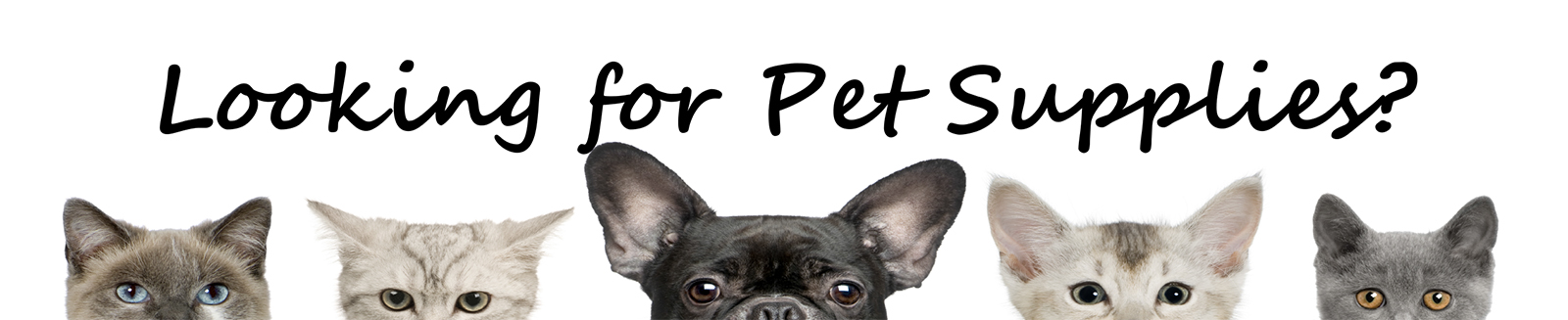 pet-supplies-banner.jpg