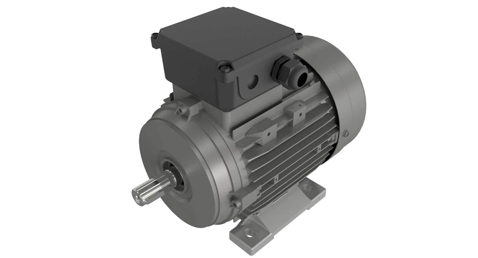 MOTORI TRIFASE ALLUMINIO IE1