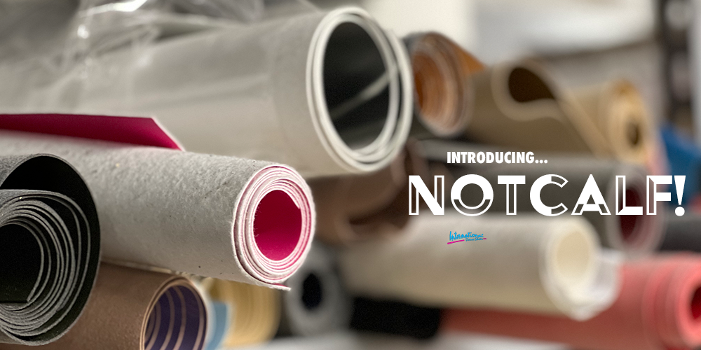 web-webpage-notcalf-header-0723.png