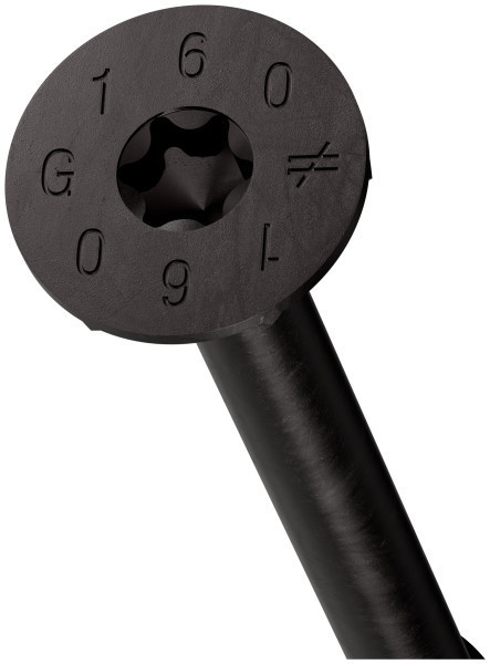 SDCP10X160-R30 SDCP TIMBER-CP Screw (Black E-Coat) (Box of 30pcs)