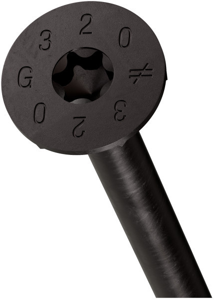 SDCP10X320 SDCP TIMBER-CP Screw (Black E-Coat) (Carton of 150pcs)