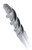 MDPL05010 SDS-plus Drill Bit - 2-Cutter Head 1/2X10-1/4