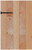 SDCP8X80 SDCP TIMBER-CP Screw (Black E-Coat) (Carton of 250pcs)