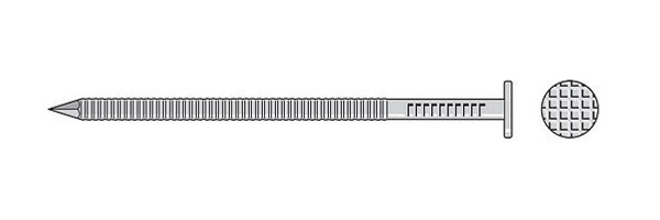 T10PTD-RP15 Preservative-Treated Wood Decking Nail (15pc Pack)