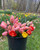 Spring Bouquet Subscription (Locals Only)