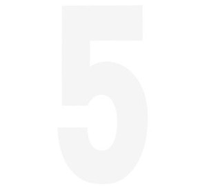 STD 6" WH #5 PK/3 FX