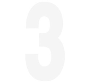 STD 8" WH #3 PK/3 FX