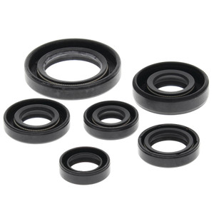 Oil seal kit trx300ex