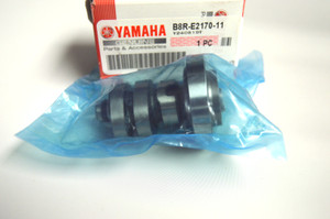 CAMSHAFT ASSY 1