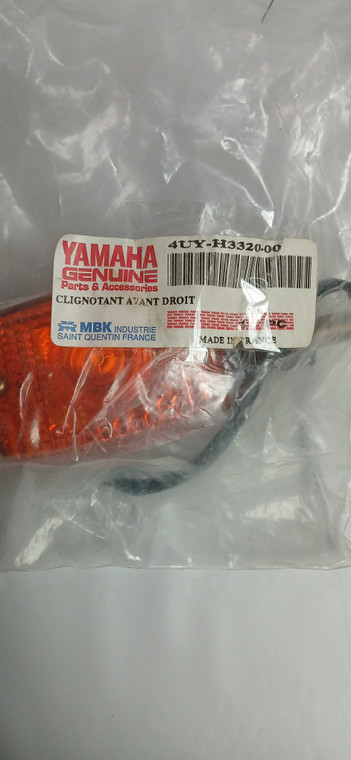 FRONT FLASHER LIGHT