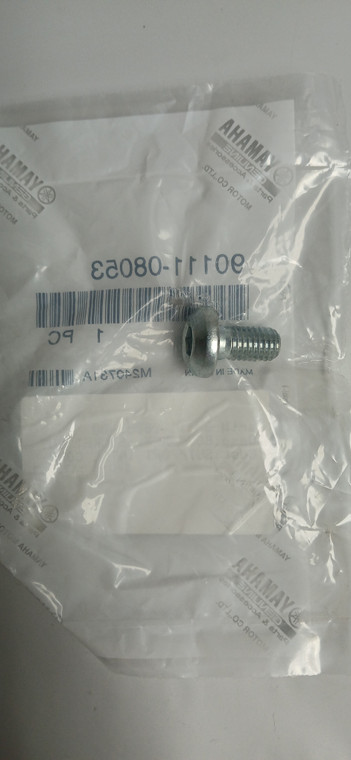 BOLT,HEX. SOCKET BUTTON