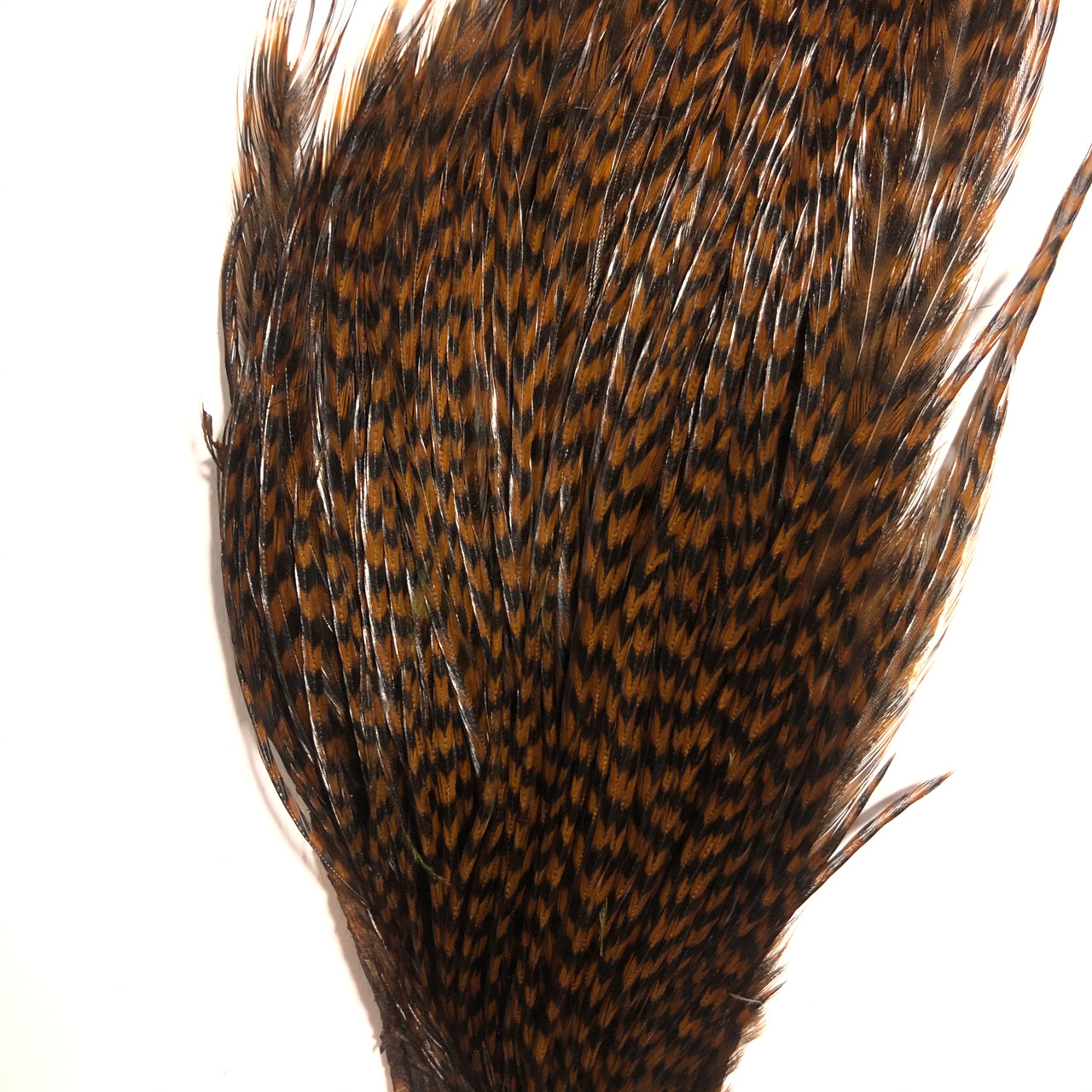 Hareline Dry Fly Neck Chunks  Buy Fly Tying Feathers For Dry