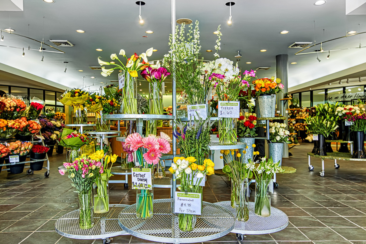 DAVIE STORE 03 Field of Flowers
