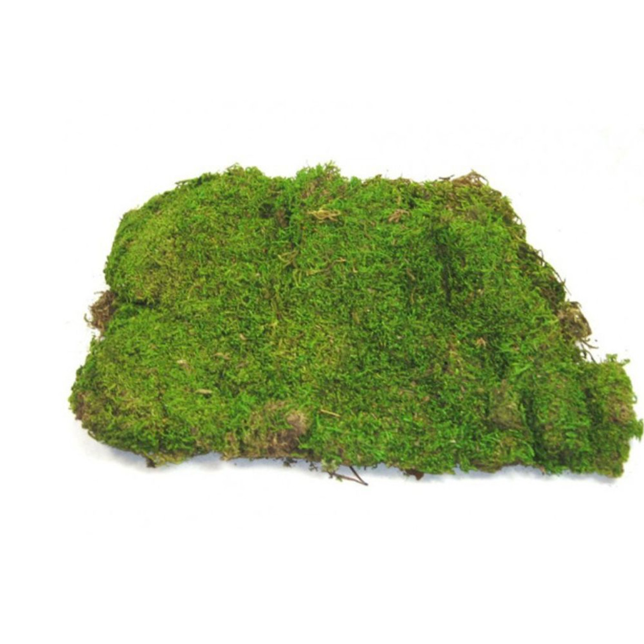 MOSS SHEET BOX