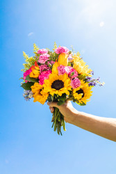 Summer at Field Of Flowers