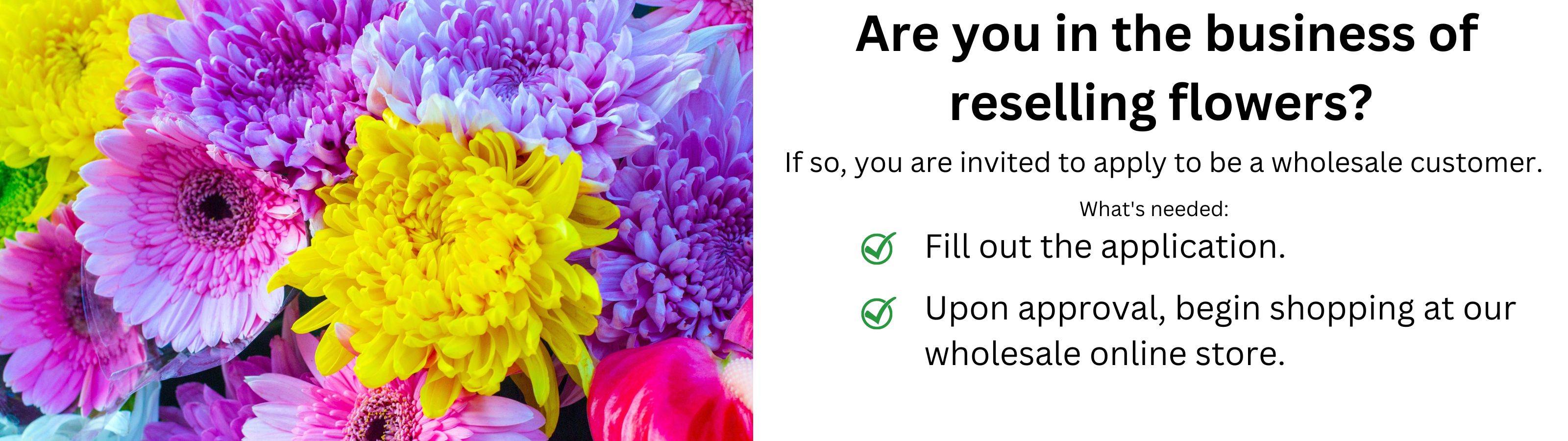 FIELD OF FLOWERS WHOLESALE