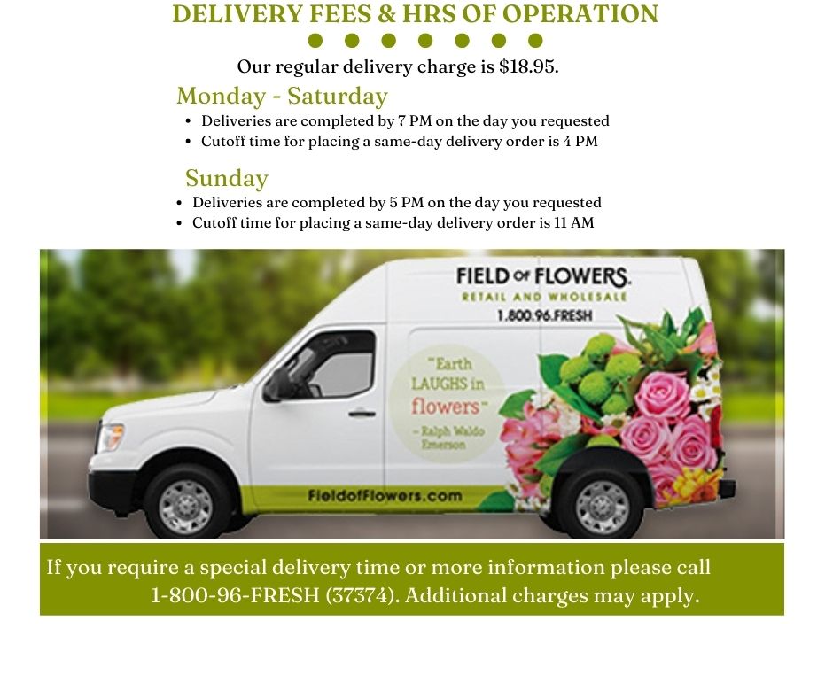 Flower Delivery Davie SameDay Flower Delivery Boca Raton