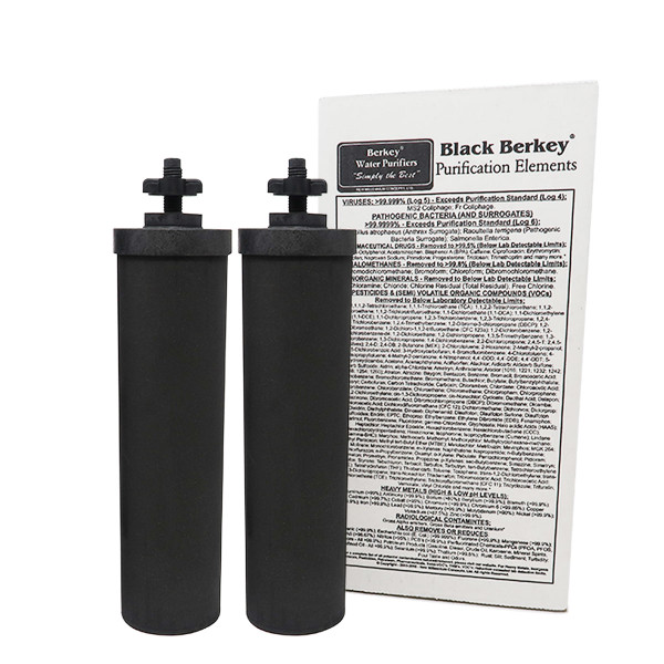 Black Berkey® Filtration Elements (Set of 2 Filters)