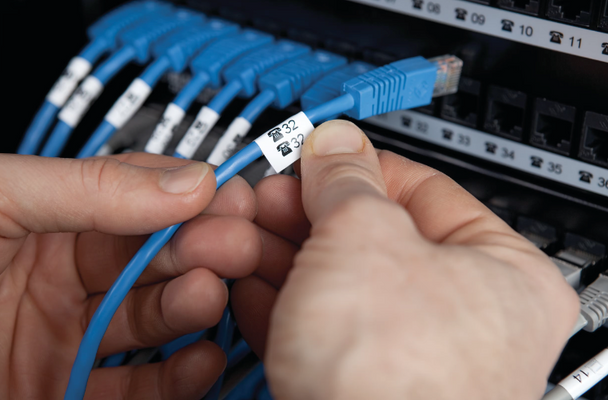 Cable identification labels being applied to bundled wires
