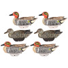 Lifetime FLEXFLOAT Green WingED Teal 6 Pack - 858706004729