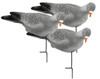 Lucky Duck Pigeon Decoy - 605093221129