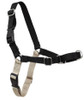PetSafe Easy Walk® No Pull Harness in Black, Large - 759023067759
