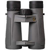 Leupold BX-5 Santiam HD 8x42 Binoculars BAK-4 Prism | Lens Shadow Gray | 174481 - 030317018283