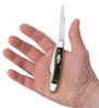 Case Smooth Green and Black Micarta Medium Stockman Pocket Knife 3.63" Closed - 021205234717