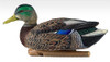 Avian X Topflight Early Season Mallards - 810280080629