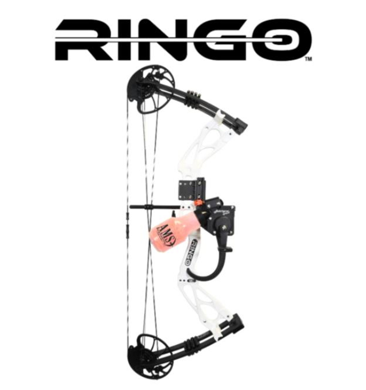Ams Bowfishing Ringo Compound Bow RH  Retriever Sport Reel & Zip Arrow  Rest - Simmons Sporting Goods