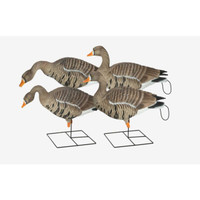 Avery Pg XD Specklebelly FB Harvester 4 Pack - 700905715930