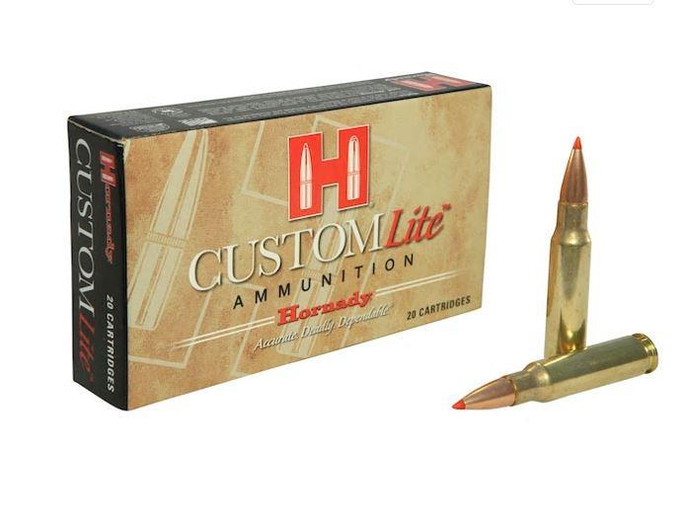 Hornady Custom Lite 308 Win 125 Grain SST | 20 Rounds - 090255808667