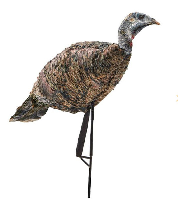 Montana Miss Purr-Fect XD 3D Hen Turkey Decoy - 851234000843