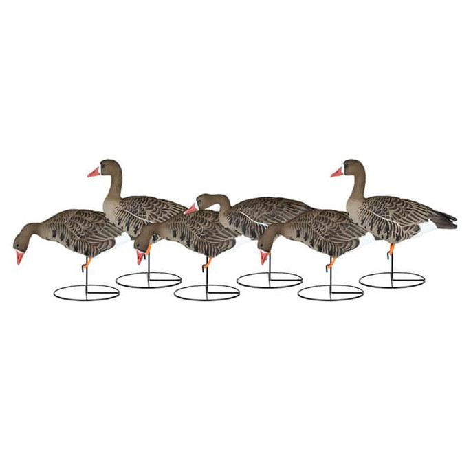 Dakota Decoy Whitefronts - 723175896000