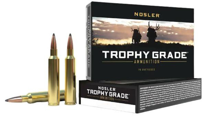 Nosler Partition Trophy Grade 243 WIN 100 Grain Box of 20 - 054041610469