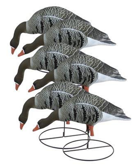 Higdon Specklebelly Full Size Fully Body Feeder Pack (6 Pack) - 710617725462