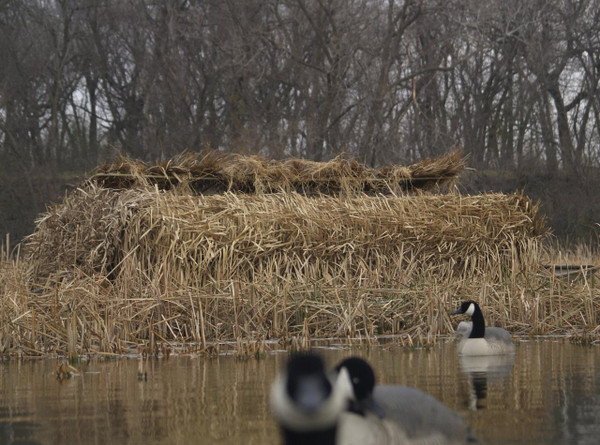 Stands/Blinds < HUNTING