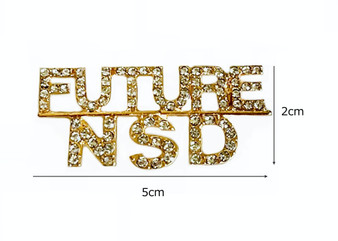 PK578 FUTURE N S D BROOCH